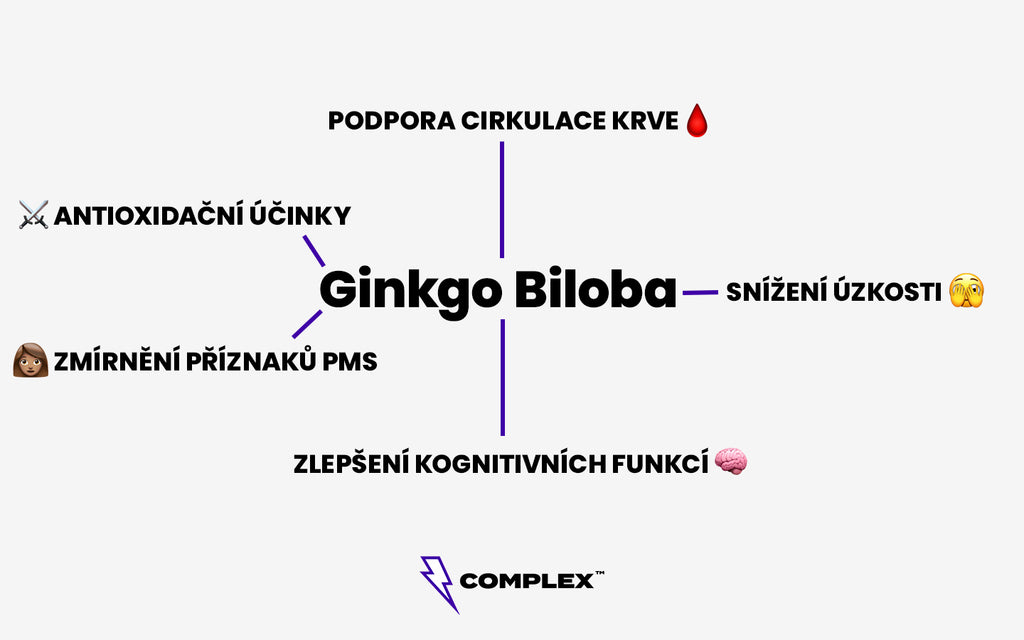 Ginkgo Biloba účinky