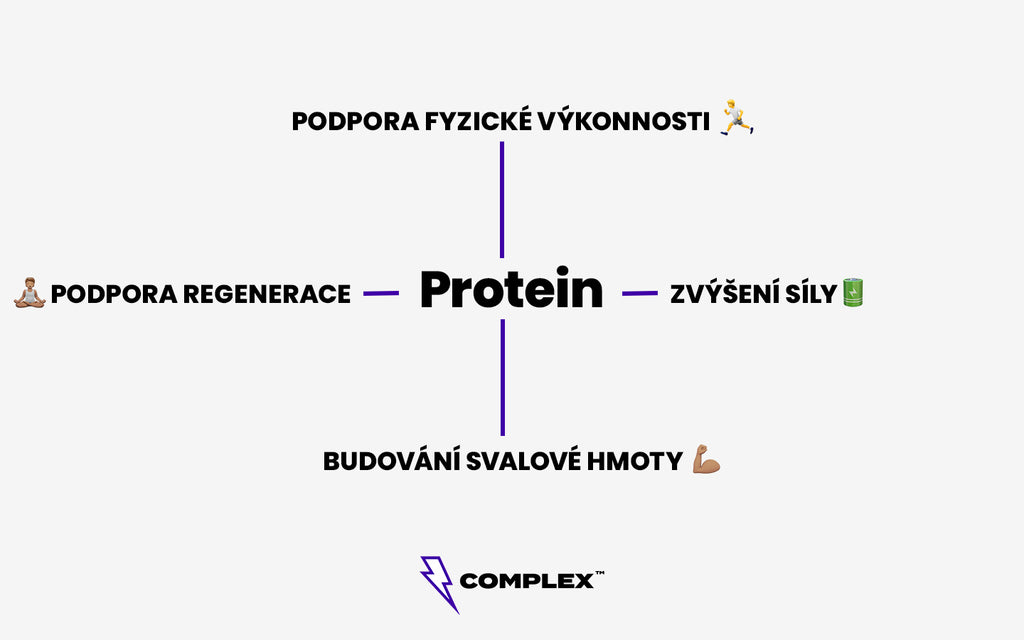 Proč brát protein?