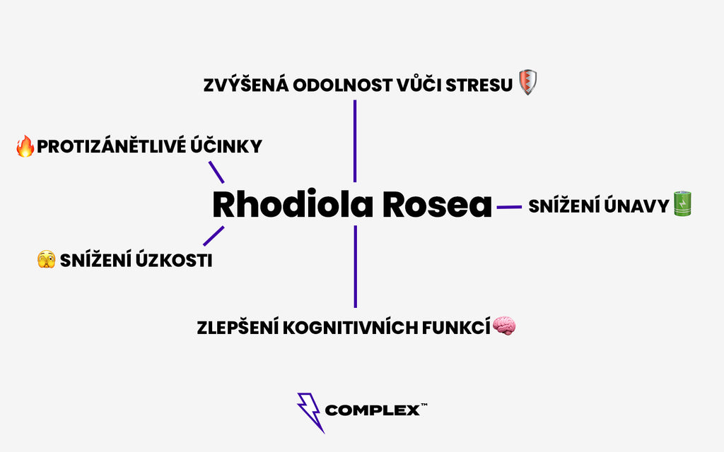 rhodiola rosea účinky