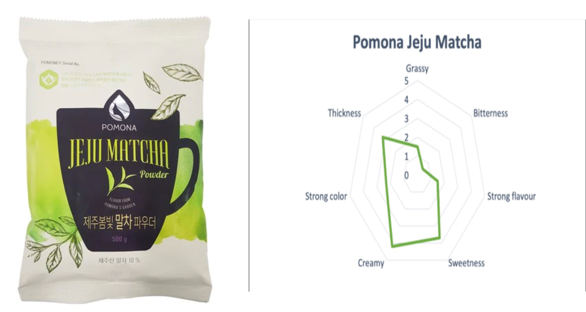 Jeju Matcha Latte | Authentic Korean Green Tea Latte | Shop Now