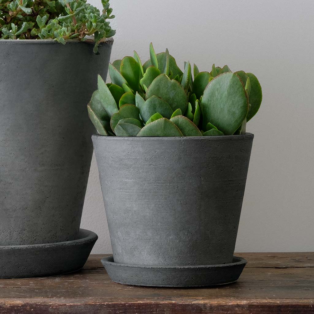 Essential Planter - Grey - Exclusively Campania USA product image