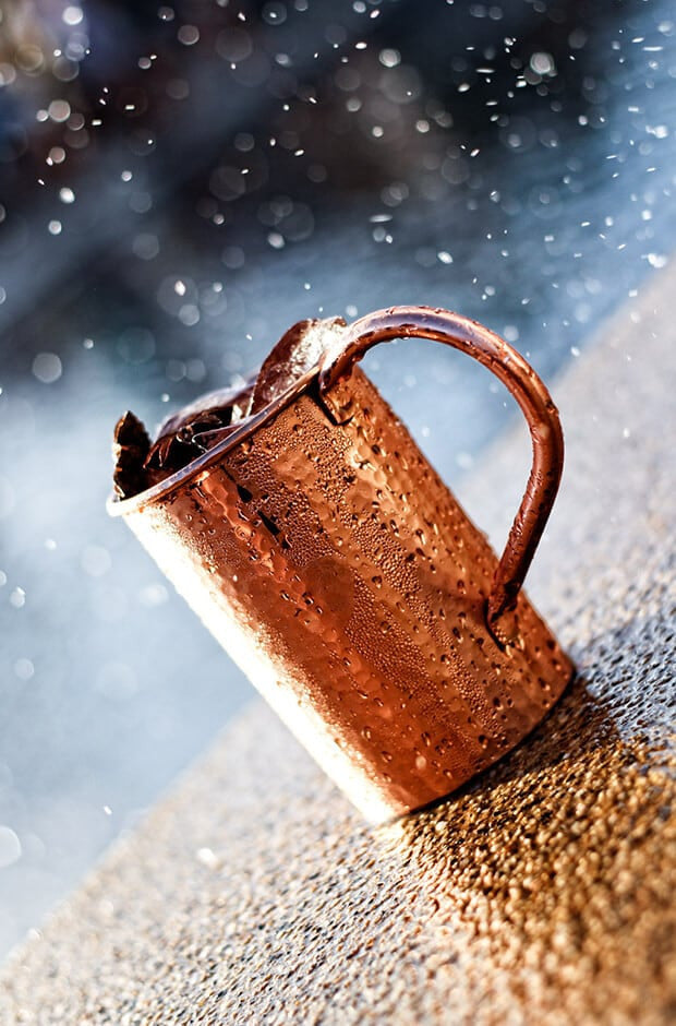 moscow copper moscow mule mug