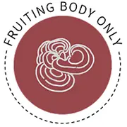 Fruit Body.webp__PID:eb636de0-edc8-4d9a-8246-3964ba6a4578