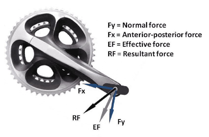 pedel force