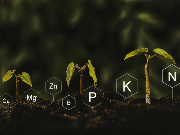 nutrients ad soil amendments