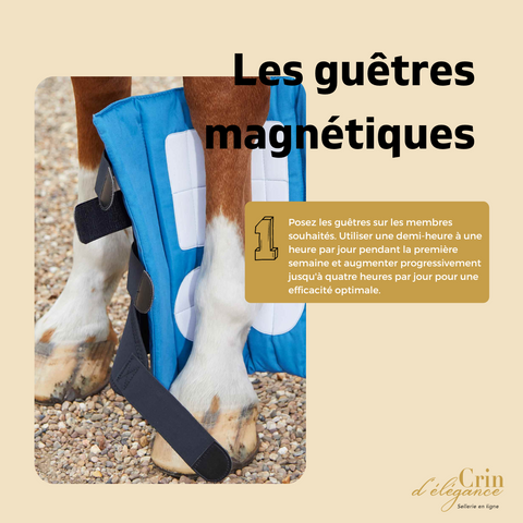 Guêtres magnétiques Premier Equine