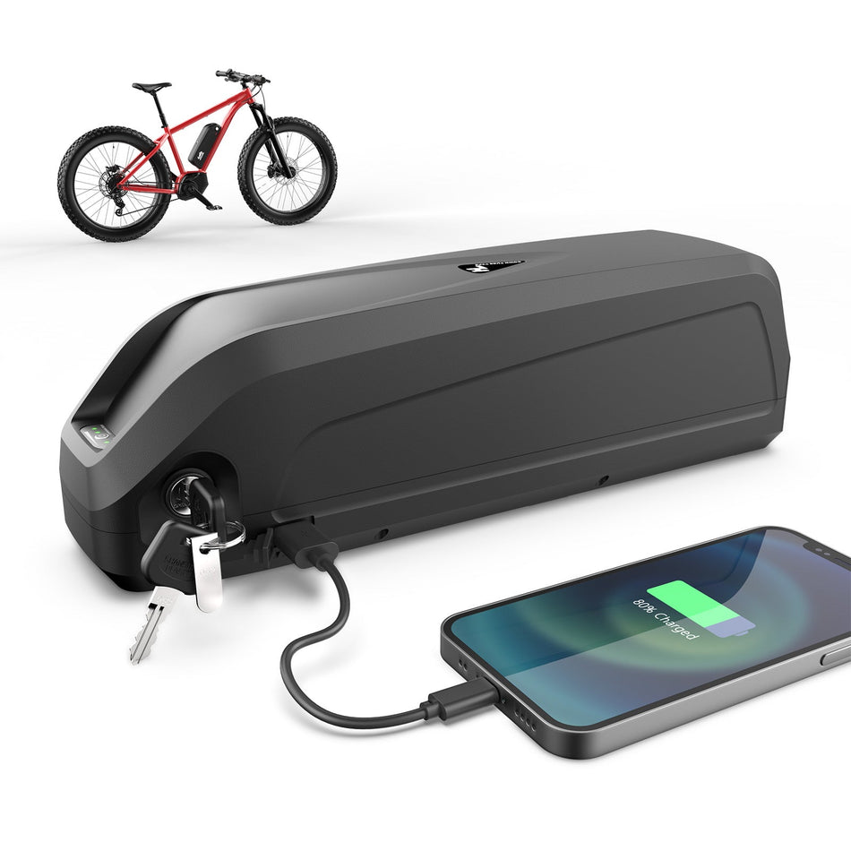 E-Bike-Akku 36V 24AH  LG 4800 mAh Lithium-Ionen mit Ladegerät – BMS EBike  Tech Ltd