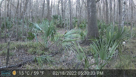 trail camera, trail cameras, cellular trail camera, best cellular trail camera, doing time lapse on trail camera, best trail camera, best trail cameras, sale on trail cameras, cellular trail cameras, trail camera sale, wifi trail camera, trail camera reviews, trail cameras for sale, trail cameras on sale, wireless trail camera, covert trail cameras, trail camera cellular, trail camers, best cellular trail cameras, best trail camera 2022, trail cameras for security, best trail camera 2023, gardepro