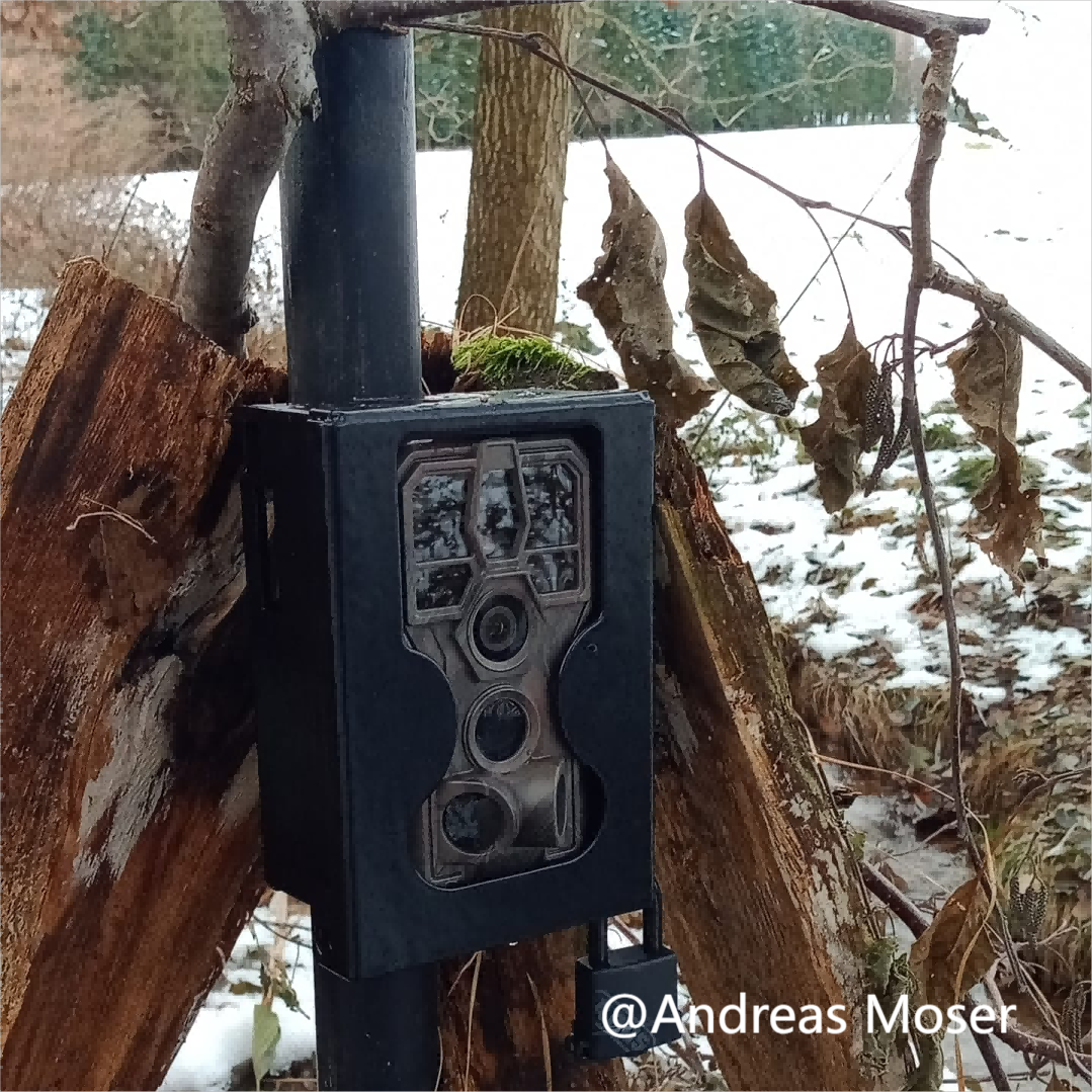 Pack 3 cámaras de caza GardePro X50 con envío y pilas gratis para  fototrampeo