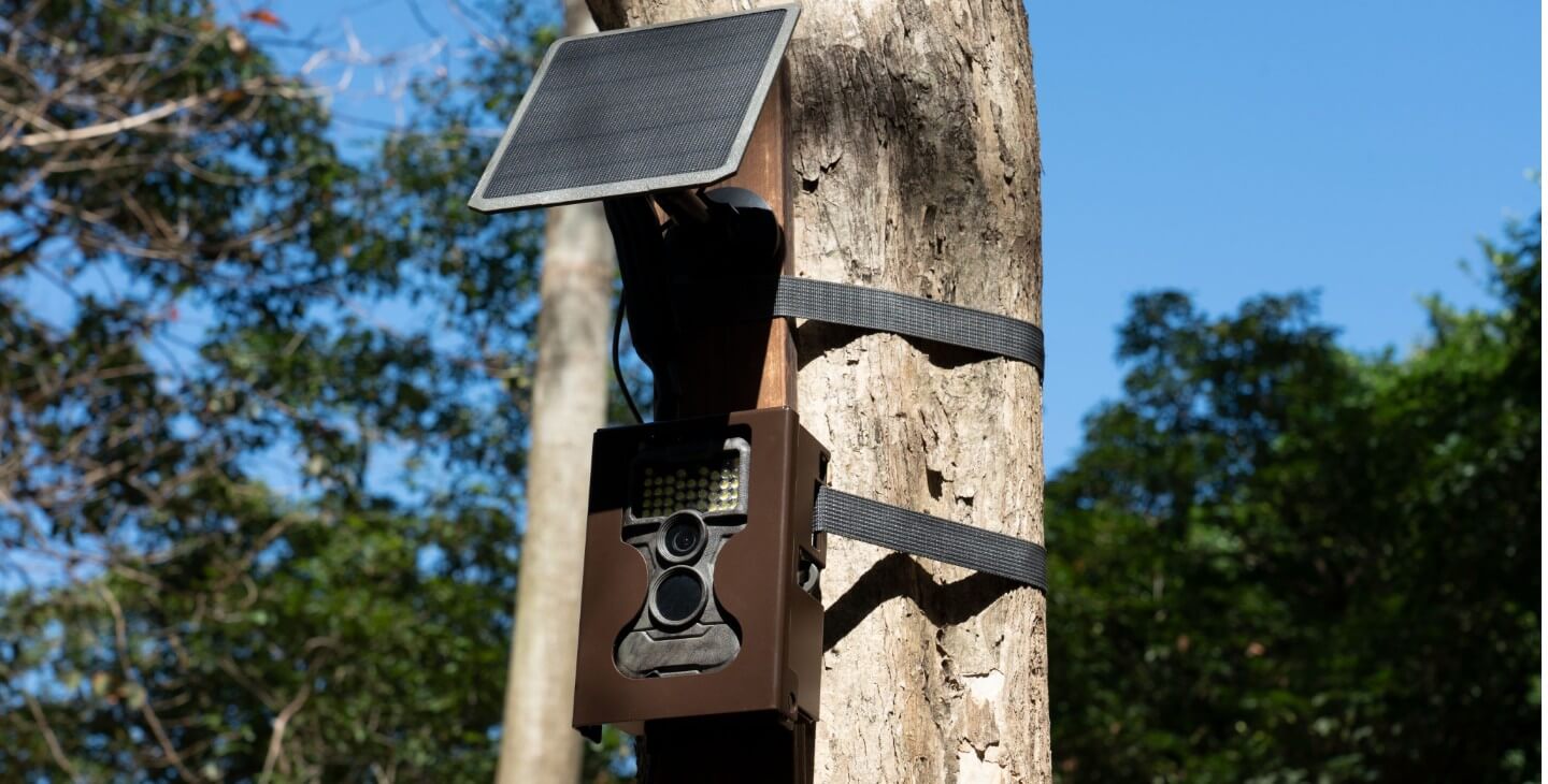 Capture Wildlife Photos and Videos for Less: Unbeatable Deals on GardePro Cellular Trail Cameras!
