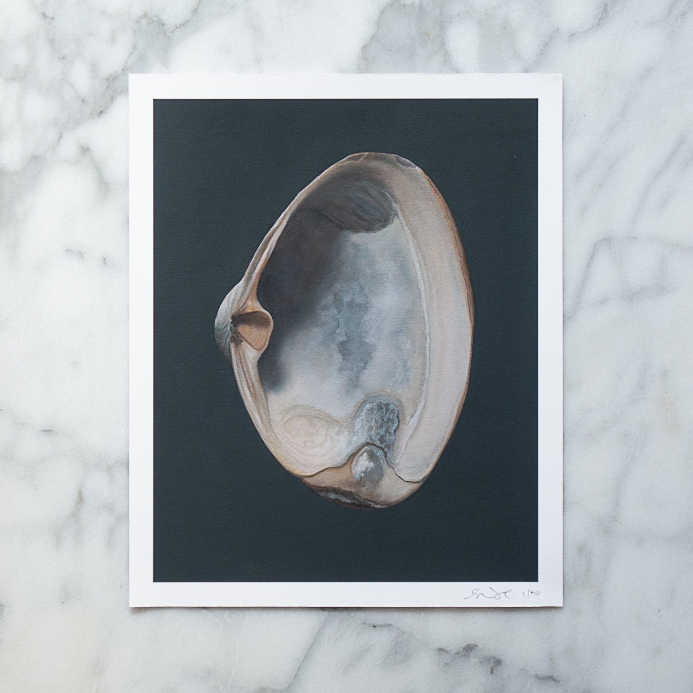 Light Clam Shell No. 2 Limited Edition Print - Sarah Verardo Art product image