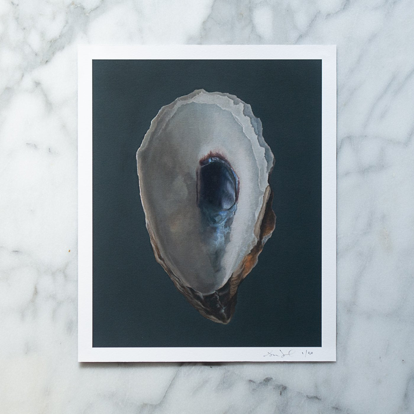 Oyster Shell No. 3 Limited Edition Print - Sarah Verardo Art product image