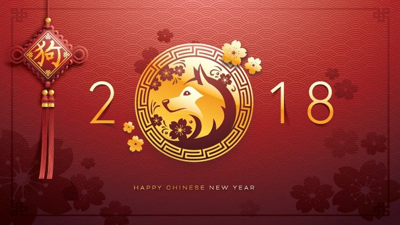 Chinese New Year banner