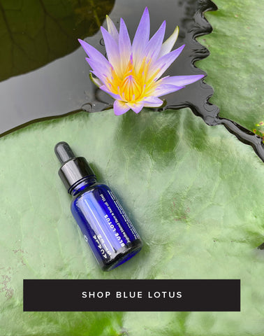 Here's why you need blue lotus oil in your beauty routine – Acala Stem
