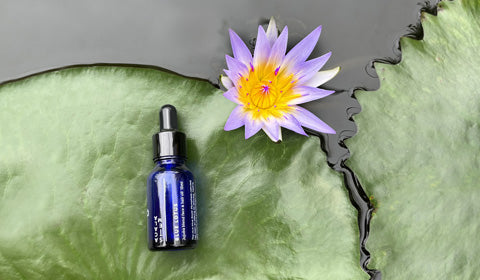 Here's why you need blue lotus oil in your beauty routine – Acala Stem