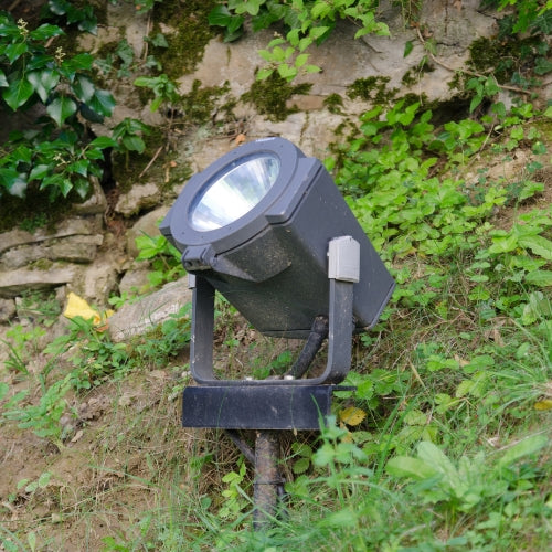 main qui tient une ampoule avec un arbre