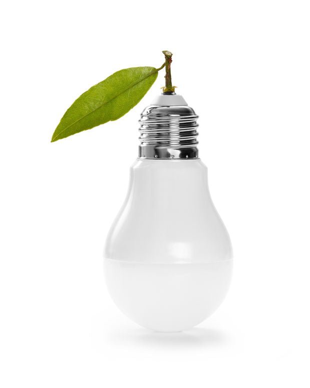ampoule LED simple à l'envers avec une feuille d'arbre au niveau du culot