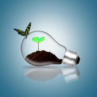 ampoule qui préserve la planète, avec de la terre, un papillon et une jeune pousse verte