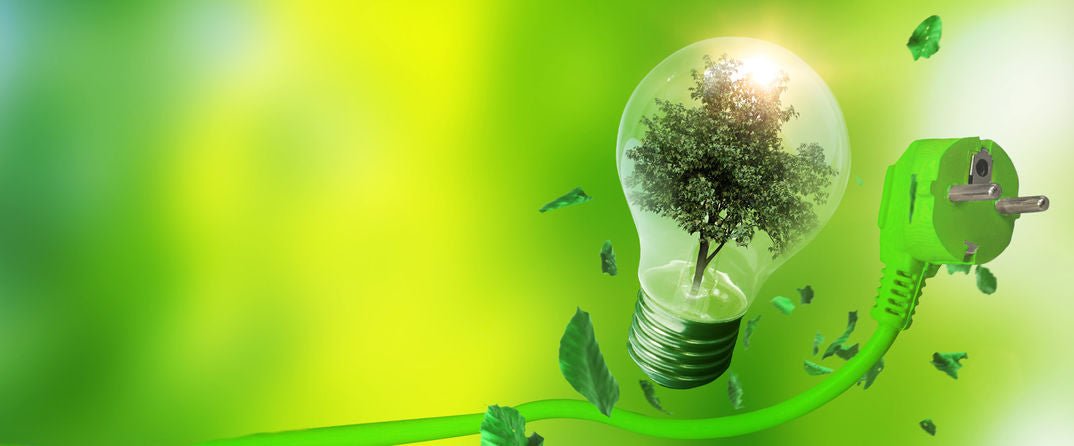 représentation d'une ampoule LED écologique : avec un arbre à l'intérieur, sur fond vert, et au-dessus d'un câble électrique vert