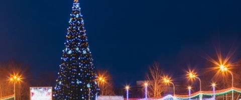 guirlandes lumineuses sur sapin