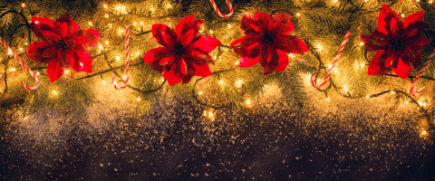 Décorations De Fenêtre De Noël De Rideau De Lumière De Noël - Temu France