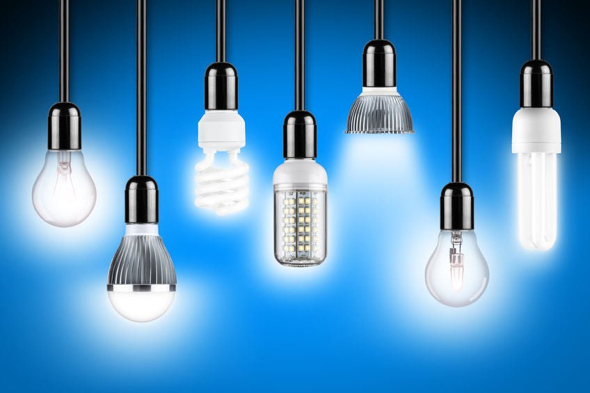 7 ampoules différentes : LED, fluocompactes, halogènes, à incandescence