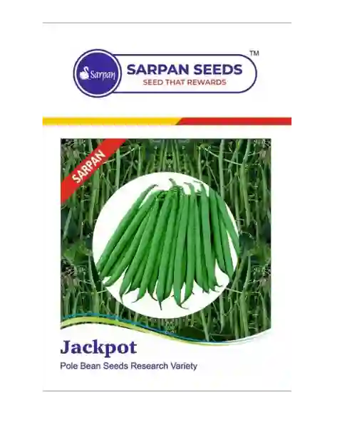 SARPAN JACKPOT POLEBEANS product  Image