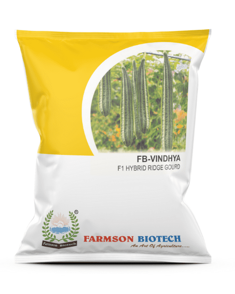 FARMSON FB- VINDHYA RIDGE GOURD SEEDS product  Image