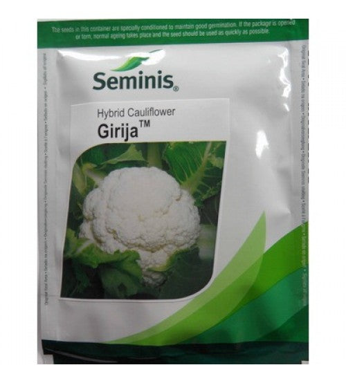 GIRIJA CAULIFLOWER SEEDS product  Image