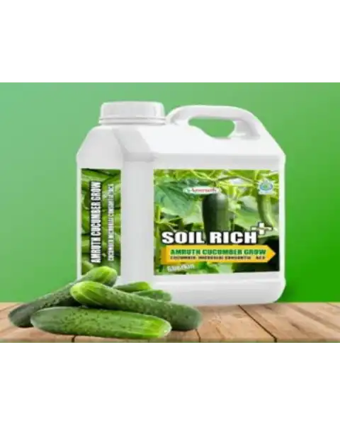 AMRUTH CUCUMBER MICROBIAL CONSORTIA (ACG) | AMRUTH CUCUMBER GROW product  Image 1