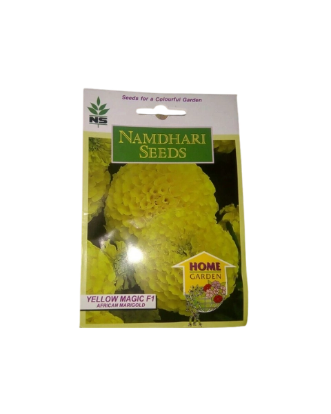NS AFRICAN MARIGOLD MAJESTIC YELLOW product  Image