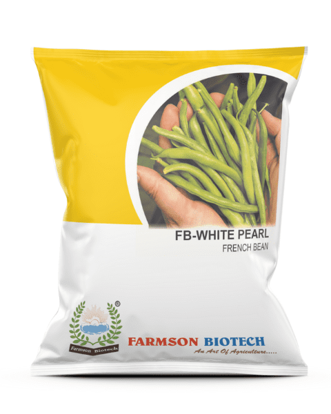 FARMSON FB-WHITE PEARL FRENCH BEAN SEEDS product  Image