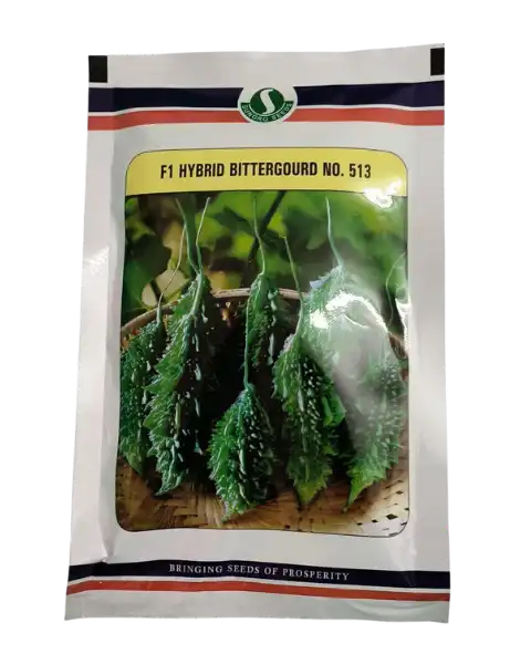 F1 HYBRID BITER GOURD NO.513 product  Image 1