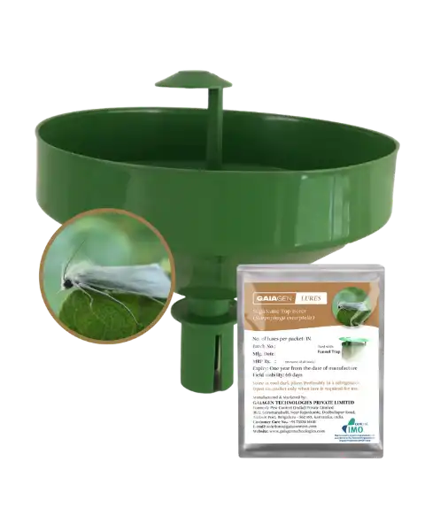 Pheromone Lure & Insect Funnel Trap For Sugarcane Top Borer