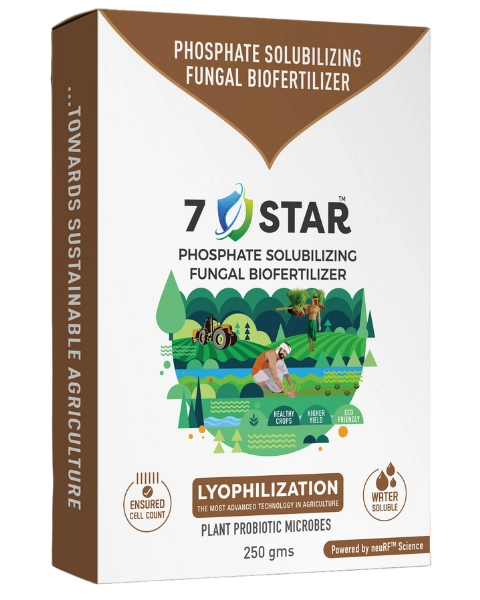 NANOBEE 7 STAR product  Image 1