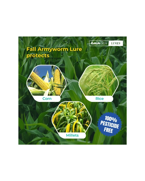 GAIAGEN FALL ARMYWORM LURE & INSECT FUNNEL TRAP COMBO PACK product  Image