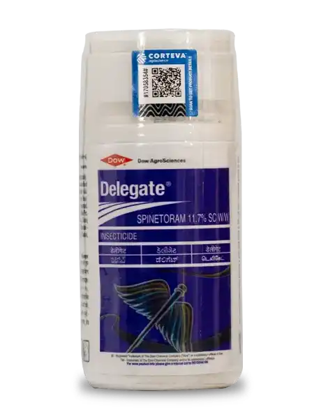 Delegate Insecticide product  Image