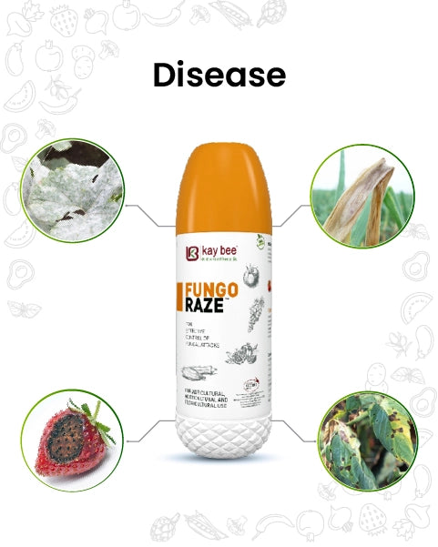 FUNGO RAZE (BIO FUNGICIDE) product  Image