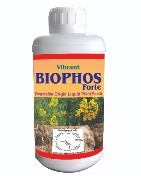 VIBRANT BIOPHOS FORTE product  Image