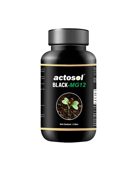 ACTOSOL BLACK-MG12 product  Image