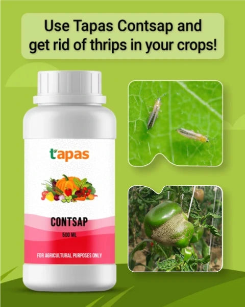 TAPAS CONTSAP BIO INSECTICIDE - ECO FRIENDLY REMEDY FOR THRIPS CONTROL product  Image