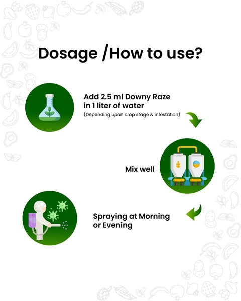 DOWNY RAZE (BIO FUNGICIDE - DOWNY MILDEW SPECIAL) product  Image 5