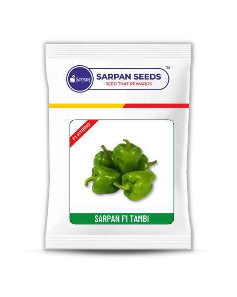SARPAN TAMBI (BABY CAPSICUM) product  Image