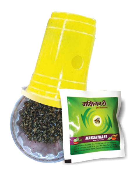 MAKSHIKARI (LURE+YELLOW GLASS) product  Image