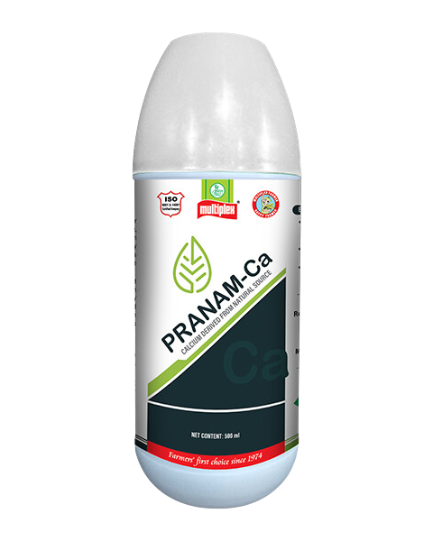 PRANAM-Ca product  Image