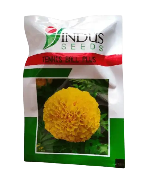 Pila genda fool. Pila marigold flower seeds. High quality. at Rs