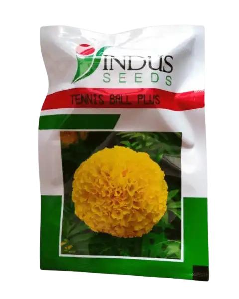 INDUS TENNIS BALL PLUS SEEDS product  Image
