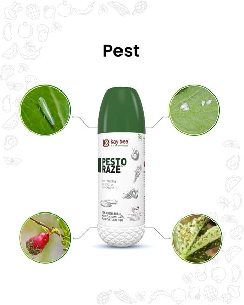 Pesto Raze Bio Pesticide product  Image