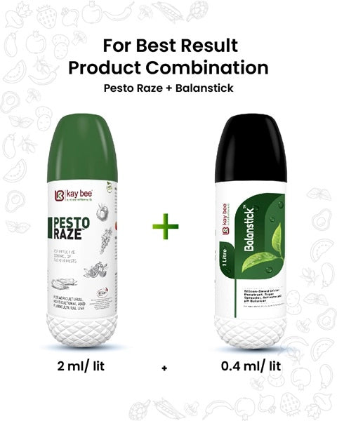 Pesto Raze Bio Pesticide product  Image