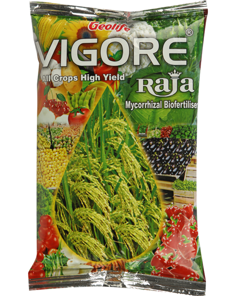 GEOLIFE VIGORE RAJA product  Image